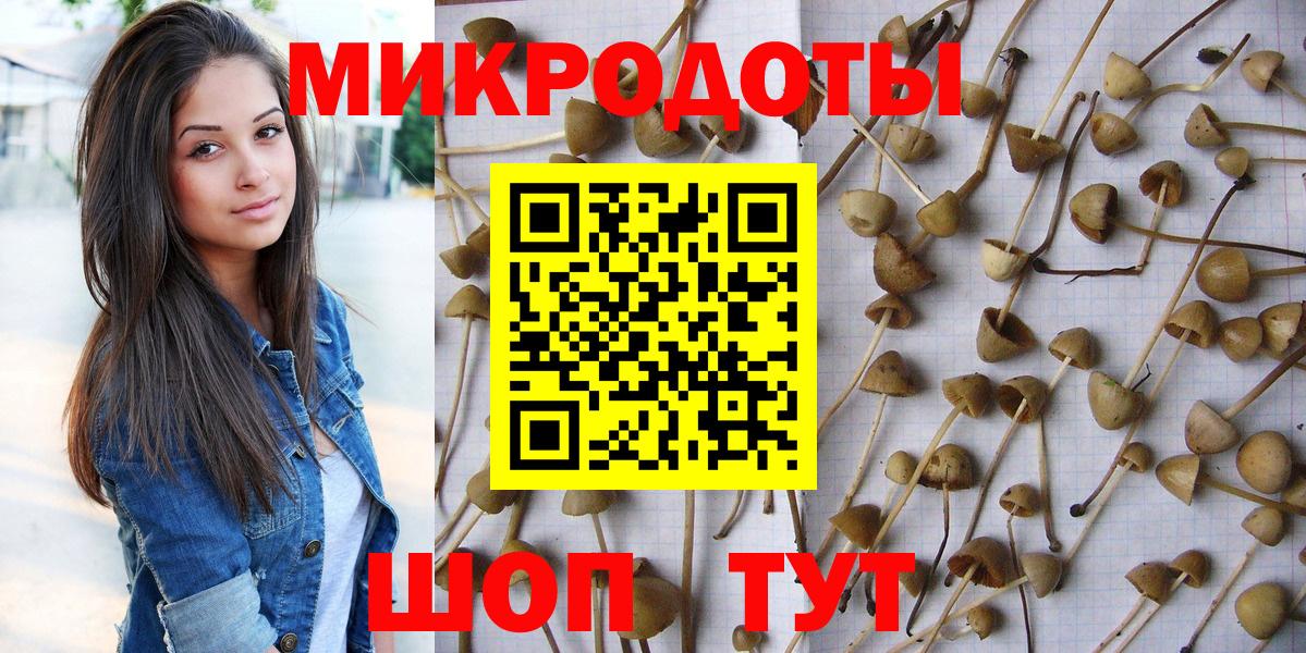 Зима  Псилоцибиновые грибы Psilocybe  Вход с VPN  Галлюциногенные грибы Psilocybine cubensis 